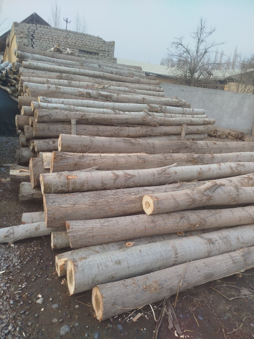 Брёвна - Просмотр 1